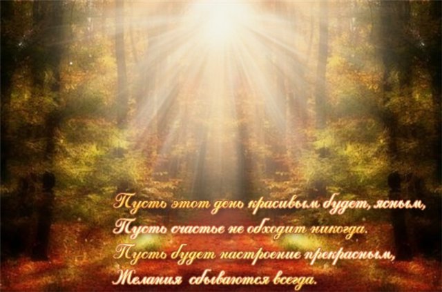 Кинотаврик - Главная Каринэ А. с днем рождения - каринэ каринэ текст песни